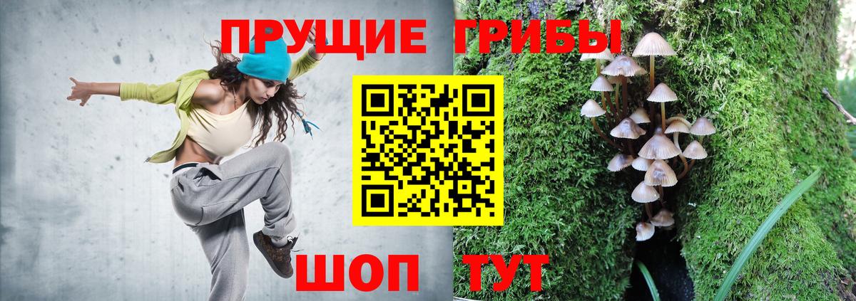 Галлюциногенные грибы Psilocybe Волжск